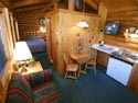 Living Area 1