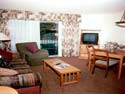 Living Area 1