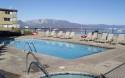 Pool in the Summer 2