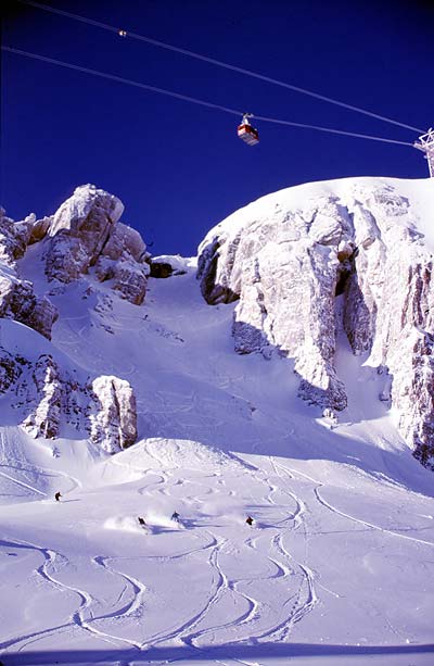 Jackson Hole Picture