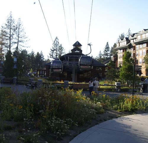 South Lake Tahoe Picture