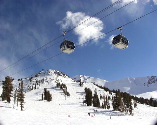 Mammoth Picture