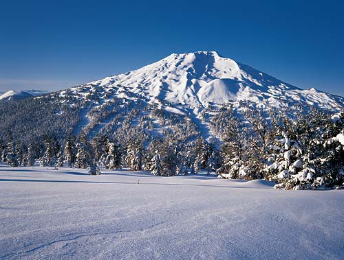Mt Bachelor Picture
