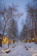 Aspen Picture 6
