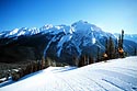 Banff and Lake Louise Picture 5