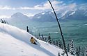 Banff and Lake Louise Picture 3
