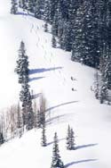 The Canyons Picture 