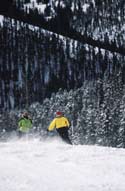 Keystone Picture 1
