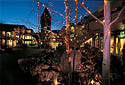 Snowmass Picture 
