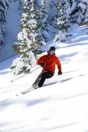 Tamarack Picture 